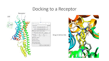 LSD Receptor Interaction