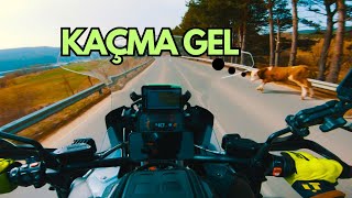 Güney Bulgaristan - Dospatgotse Delchev Dönüşü - Tet - R1250 Gs Adventure