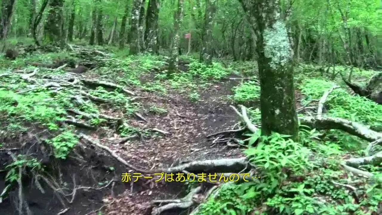 圧巻の富士見登山 山梨県