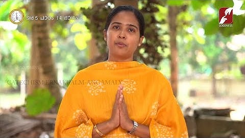 DOMUS CAT | STD 5 & 6 | CHAPTER 14 | PART 2 | SUNDAY CATECHISM