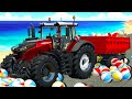 Transporting colorful beach balls  harvest sunflowers with amazing agriculture technology tractors