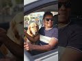 my father ride amazing #love #magic #magic #motivation @fitkriti-f2b @SRKMUSIC
