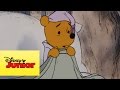 Mini aventuras de Winnie the Pooh - Pooh conoce a Tigger