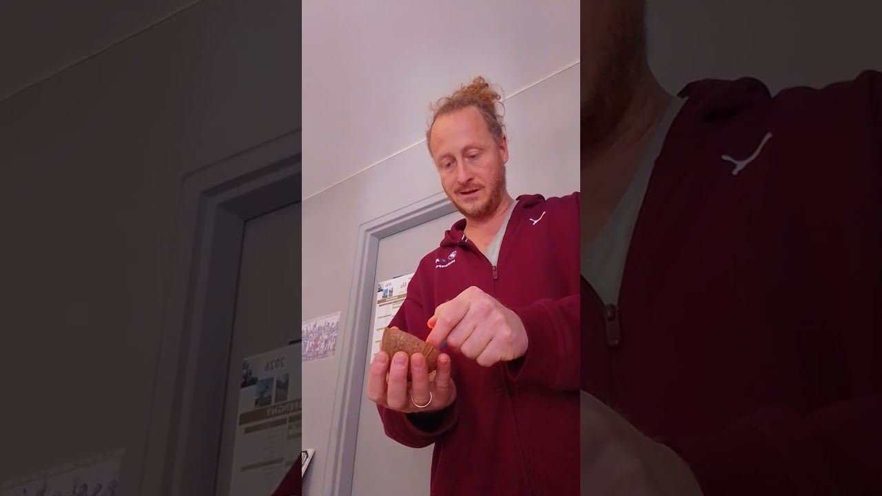 Sauge des jardins, sauge commune.