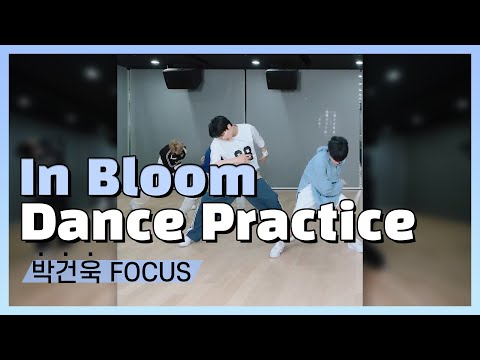 [제로베이스원/박건욱] In Bloom Dance Practice 박건욱 FOCUS