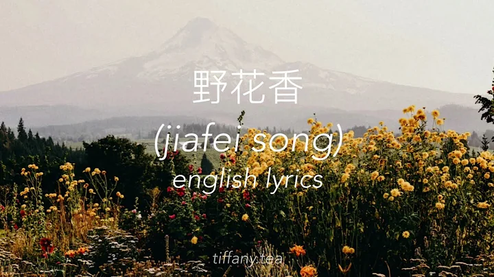 jiafei song lyrics|  | english translation