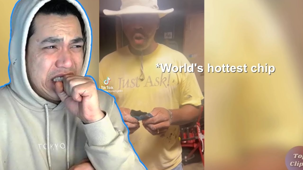 Instant REGRET! MOST VIEWED instant KARMA videos/clips BEST instant