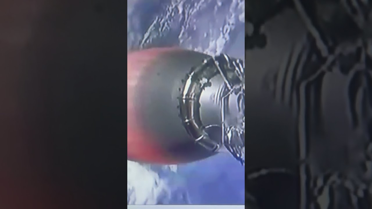 Mouse in Space!? 5/30/20 