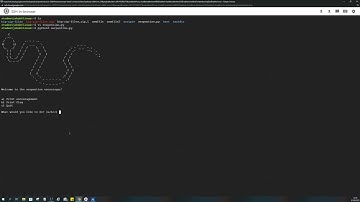 Serpentine - PicoCTF Walkthrough