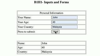 B1H1-Input and Form in HTML