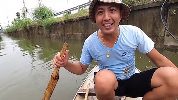 Kích Được Cá Chép Khủng Rắn Cạp Nia Và Cá Rô Đồng To Như Cái Dép | Máy Kích Cá 8 Fet