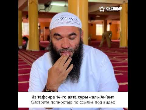 Оберегай вверенное тебе и будь пунктуальным #shorts Ринат Абу Мухаммад