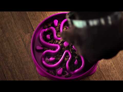 Миска-лабіринт для тварин Outward Hound Fun Feeder (Фан-Фідер) Квітка d = 27.5, H = 5 см, 480 г. Фіолетовий (oh51003), відео 1