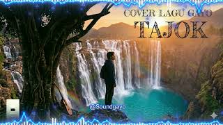 LAGU GAYO VIRAL TERBARU 2026 - TAJOK(IVAN WY ) (SLOW ROCK) BY AI