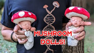 Handmade Mushroom Bundle Baby Fairies! Smidge & Twill @LaurieSullivanRoy
Mushroom Bundle Babies!
Find Laurie here:
https://youtube.com/channel/UCPNPmdqnG1C35A5DzIhBeiw
https://www.facebook.com/l.r.designstudios/
Smidge and Twill here:
https://instagram.com/smidge_and_twill?igshid=MzRlODBiNWFlZA
https://smidgeandtwill.bigcartel.com/?fbclid=PAAaZERYgGd0CGVzMaLYenxKm0QPpGptvn3bJEtzpT4kXoO9Ya3qAFRP1KcMk
Follow me on my social media to see my work, more fun dolly content, giveaways, and more! :
www.facebook.com/evalinaevergreen
Instagram: @evalina.evergreen
www.etsy.com/shop/evalinaevergreen
evergreenartdolls@gmail.com Handmade Mushroom Bundle Baby Fairies! Smidge & Twill @LaurieSullivanRoy
