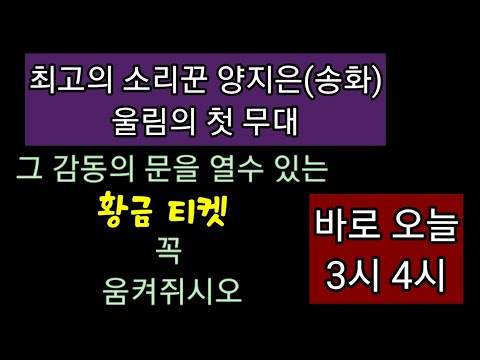 오늘 양지은 뮤지컬 서편제 첫무대 오픈 티켓일 남경주 김동완 과 함께하는 최고의 무대 많은 사랑 부탁드립니다.채태인 홍지윤 홍자  차지연 김준수  송원근 이자람 유리아 재윤 이다정