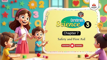 Chapter 7 | Safety and First Aid | Science Class 3 | Maple Books