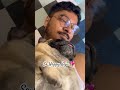 Don T Worry Be Happy Shorts Trending Love Pug Dog Youtubeshorts Subscribe Viral Don T Worry Be Happy Shorts Trending Love Pug Dog Youtubeshorts Subscribe Viral