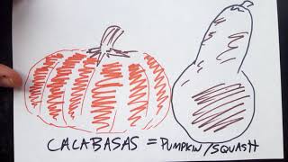 A brief history of Calabasas CA