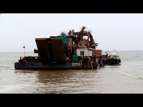 აფრიკიდან ოლიგარქის ბაღში | ბაობაბების მოგზაურობა დასრულდა