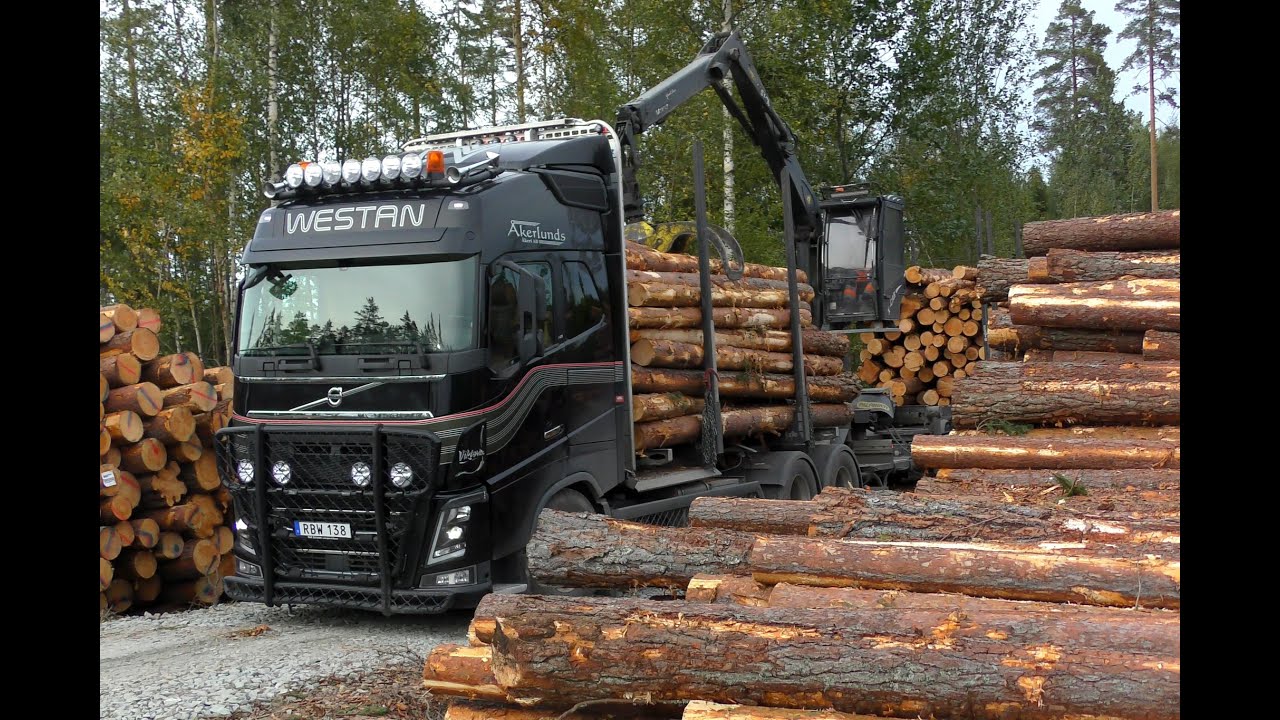 Volvo FH16 650 6X4 Timber Truck Loading (NO Sound) The Mic Was Of (4K)
