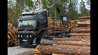 Volvo FH16 650 6X4 Timber Truck Loading (NO Sound) The Mic Was Of (4K)