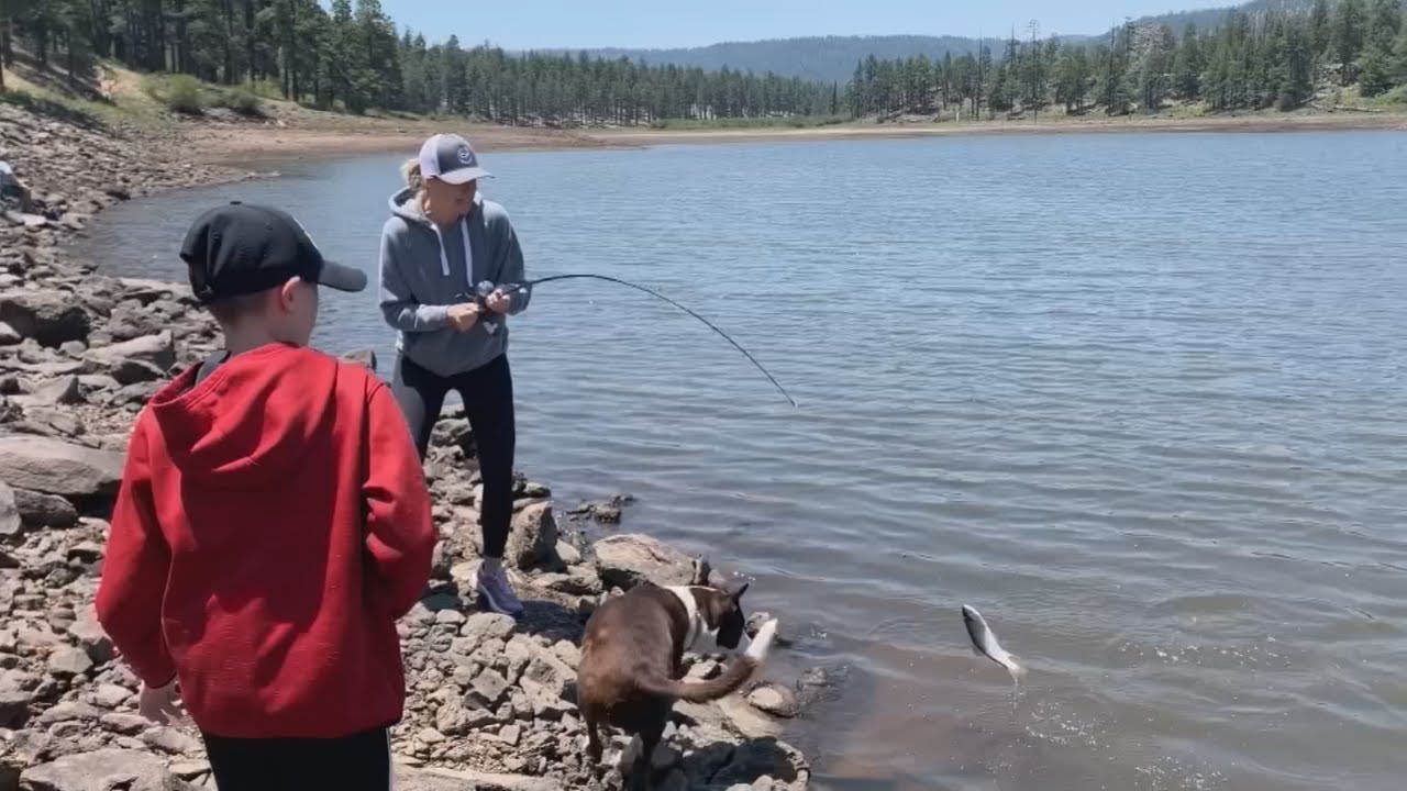 Time to go fishing at White Mountains YouTube