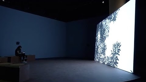 The Otolith Group. O Horizon