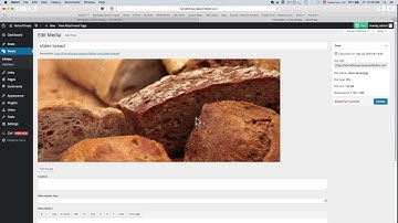 Install an image slider in WordPress using the Customizr theme