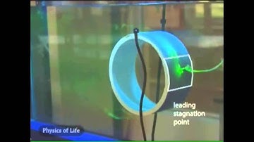 Flow across a cylinder