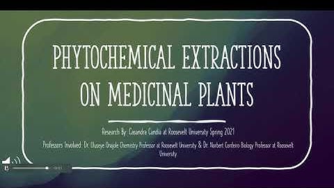 Phytochemical Extraction Methods Used On Medicinal Plants