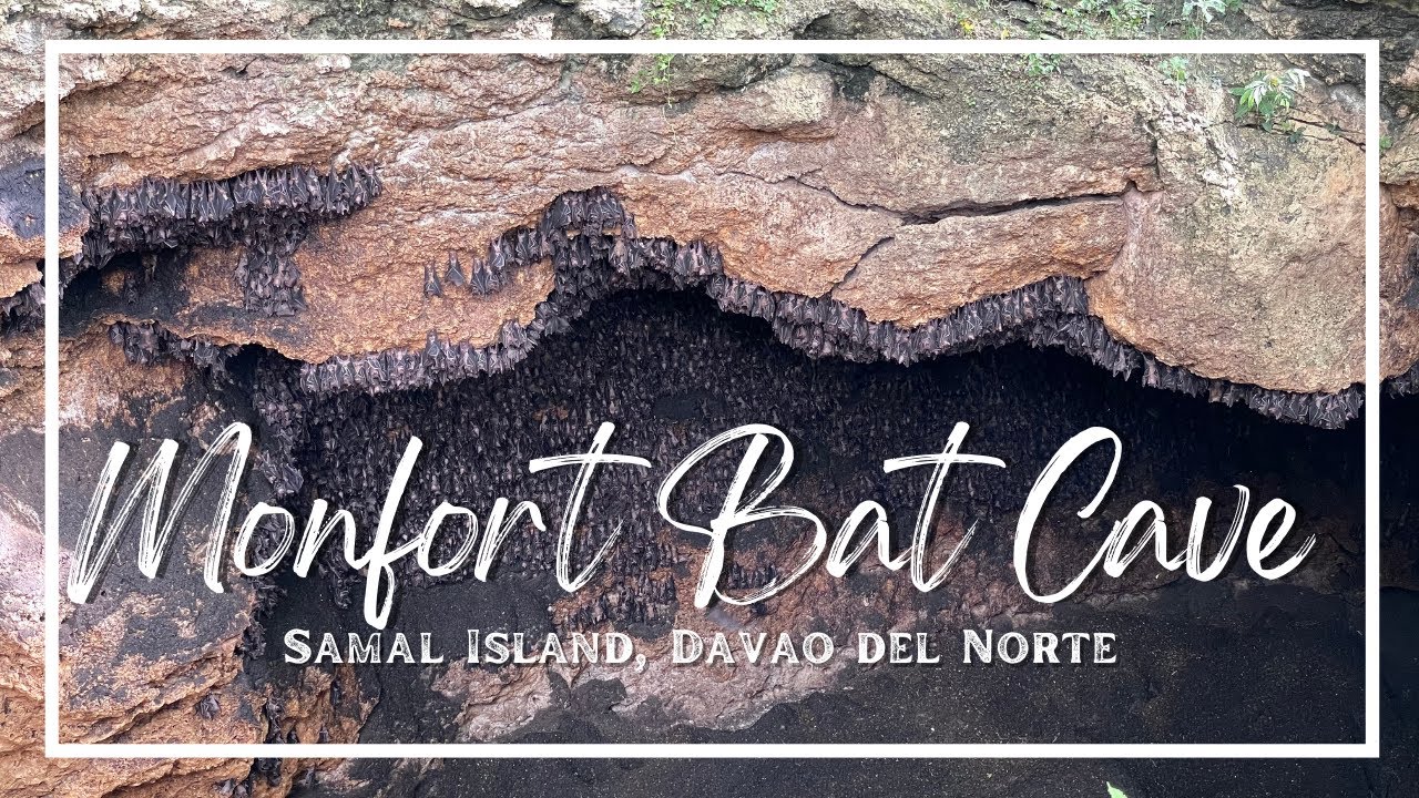 Monfort Bat Cave Samal Island Home of Millions of Fruit Bats YouTube