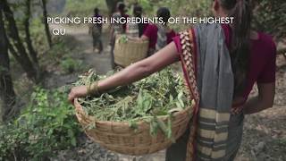 The Purity of our Intent | Forest Essentials