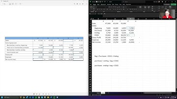 ACCTG201  Chpt 4 Quiz Access Problem 9