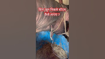 Intravenous injection l dr Umar Khan