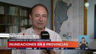 TV Públicas Noticias - Inundaciones en seis provincias argentinas screenshot 1