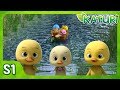Meet the Ducklings │KATURI│S1 EP9