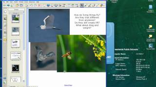 How to copy pages from one Notebook file into another.