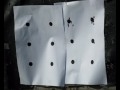 Remington 597 .22lr review part 2/2