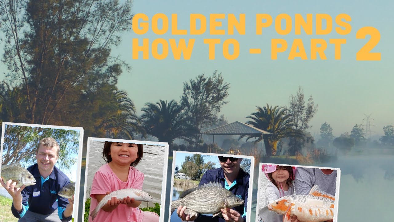 Golden Ponds. How To - Part 2 Fish Every Lake, and Every Species