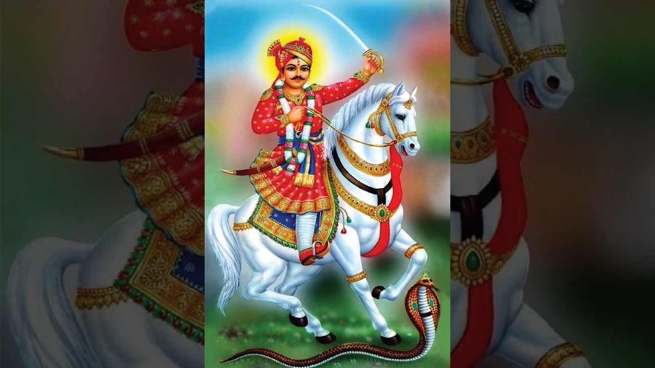 Goga Ji Morning Live Aarti