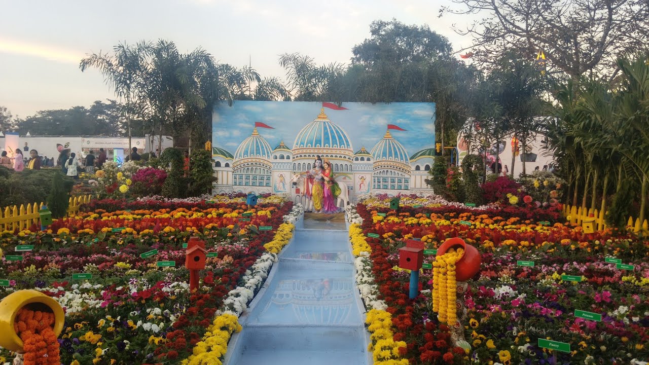 Water music akamra park bhubaneswar