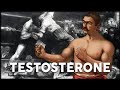 Our Historic Obsession with Testosterone | Corporis