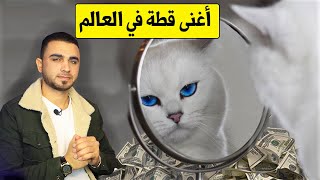 أغنى قطة في العالم? أصبحت ملكة ?