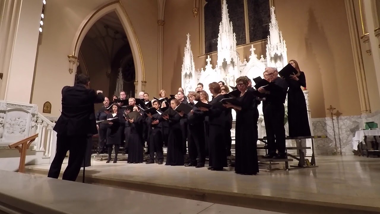 STSC: Sometimes Peace Comes from Dale Trumbore's How to Go On