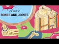 Bone Structure and Joints Quiz