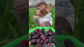 Kabinti ka kwa mparange buza Kabinti ka kwa mparange buza