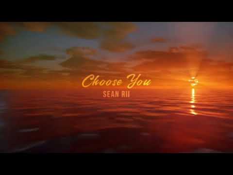 Sean Rii - Choose You (Visualizer)