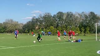 02-08-25 Florida ODP training