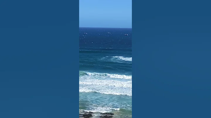 Port Elizabeth Maitland 10.10.21